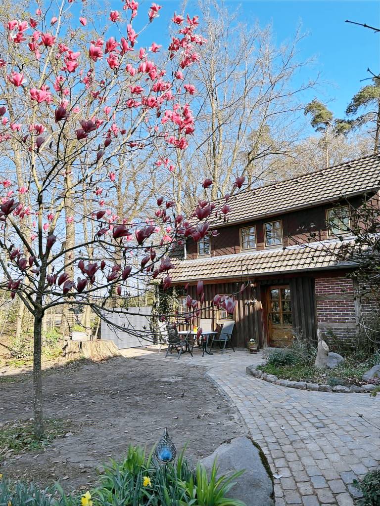 Vacation home with terrace, yard & barbecue in Lueneburg
