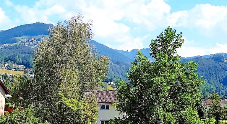 Hotel Pension Lowen nahe Feldkirch - gunstige Zimmer fur Urlauber, Firmen und Monteure — photo 2