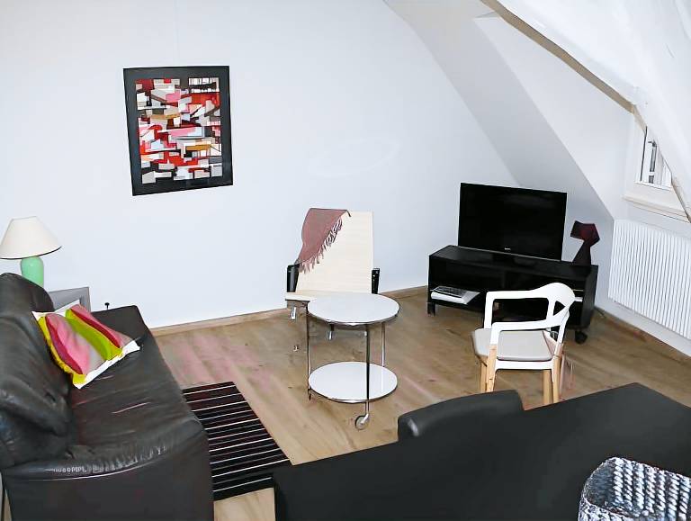 Charming rental apartment | Pet-friendly in Colmar