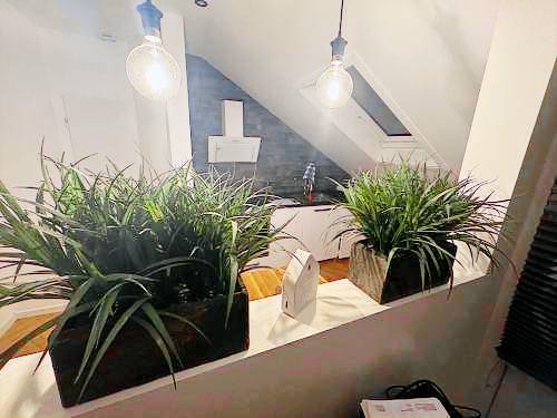 Ferienwohnung Andernach