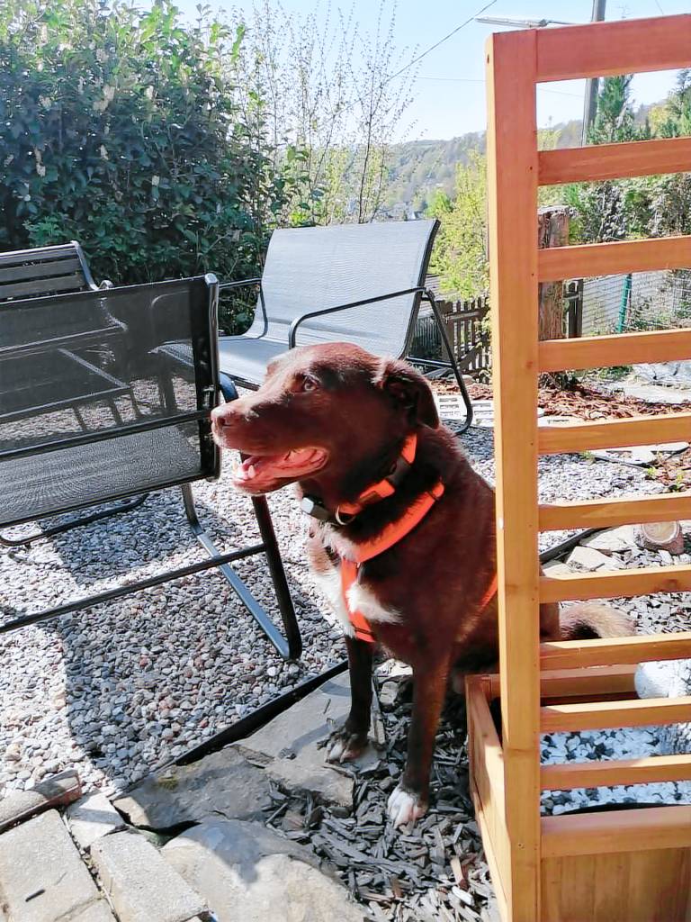 Vacation home with BBQ & yard | Nature view — photo 3