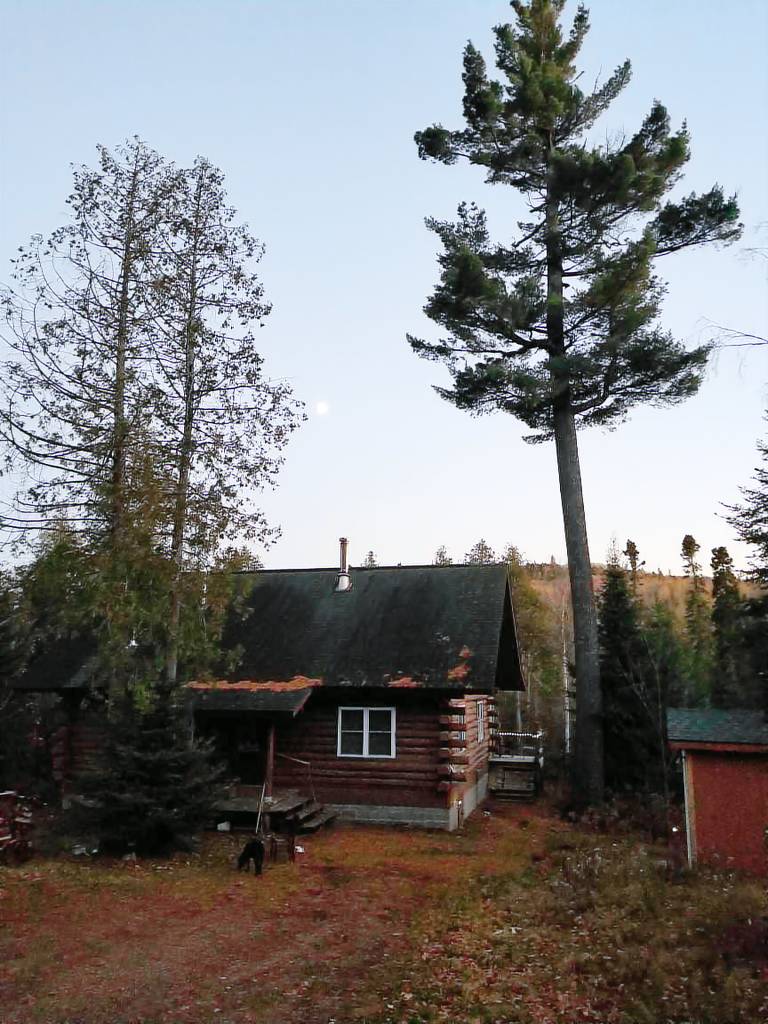 Cabin Lutsen