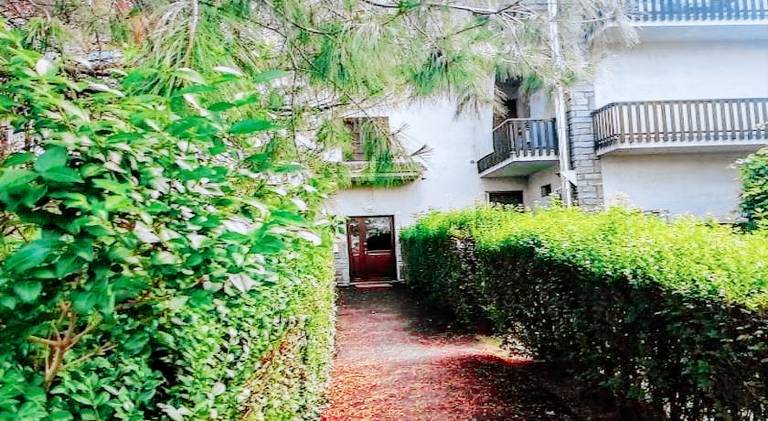 Pleasant holiday apartment | Dogs allowed — photo 3