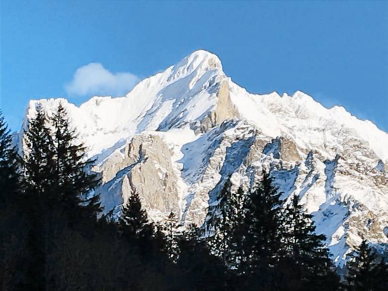 Apartamento Grindelwald