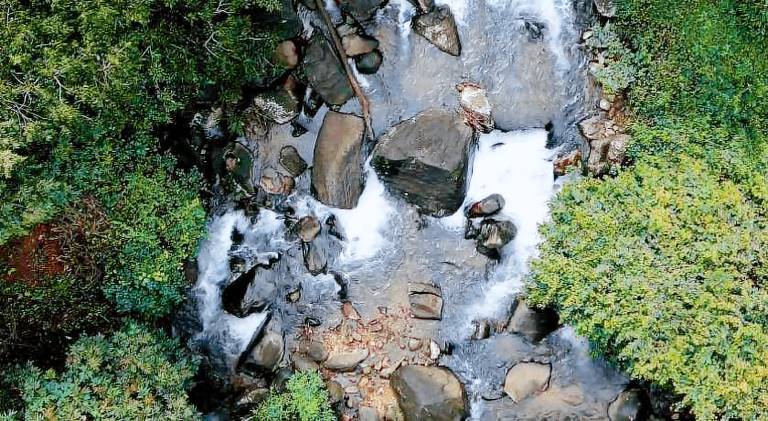 Hill Rows Plantation & Forest Exp By GreenEscapes in Vythiri