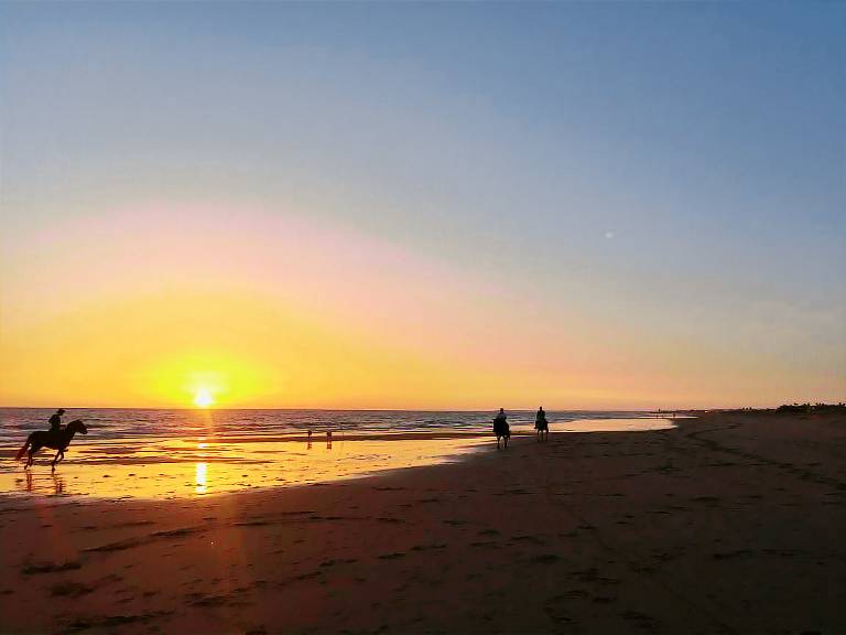 Cabaña  El Palmar