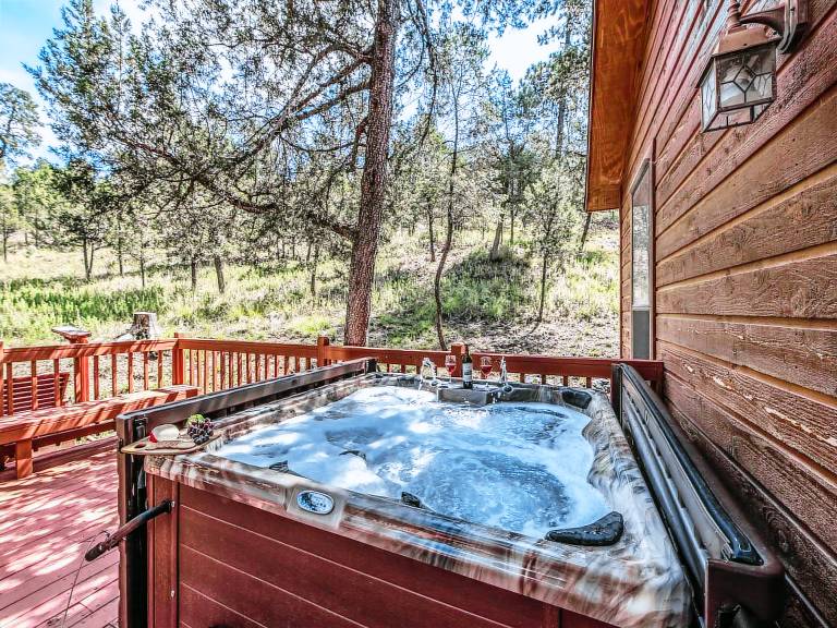 413HOMERHIDEMTNCB - Homer's Hideaway — photo 2