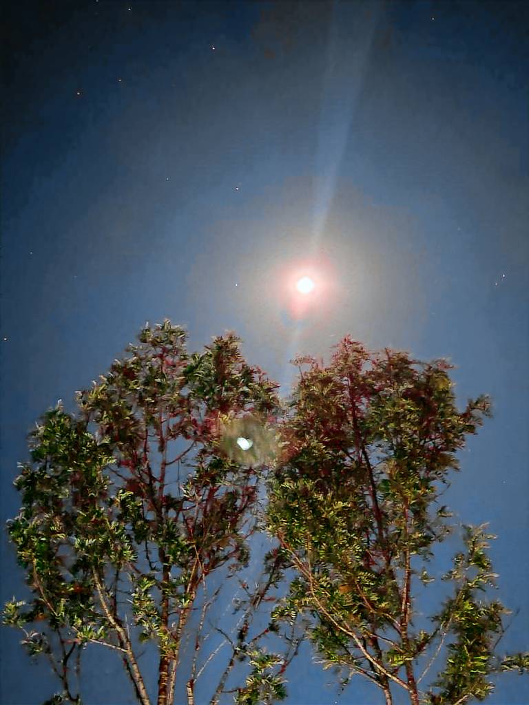 foto29