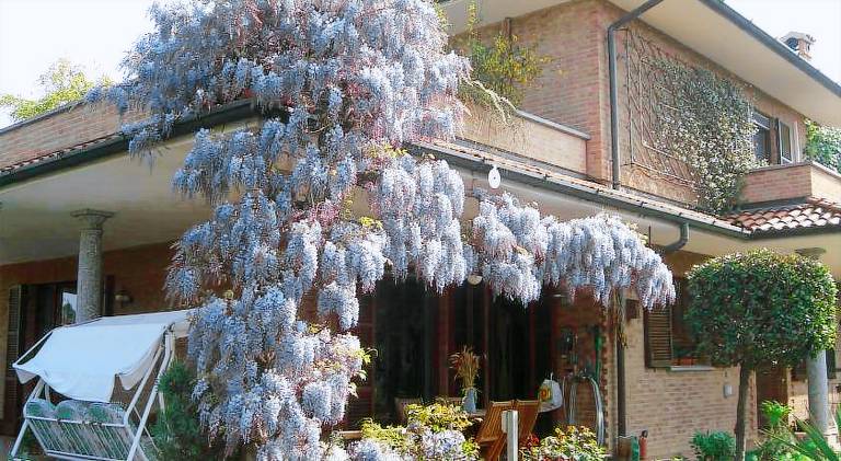 Bed & Breakfast  Appiano Gentile