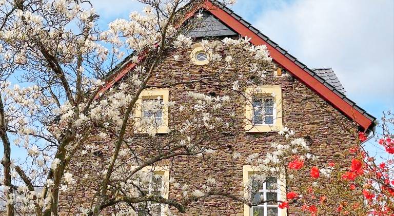 Villa with garden in Bernkastel-Kues