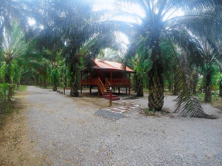 Resort Khlong Sok