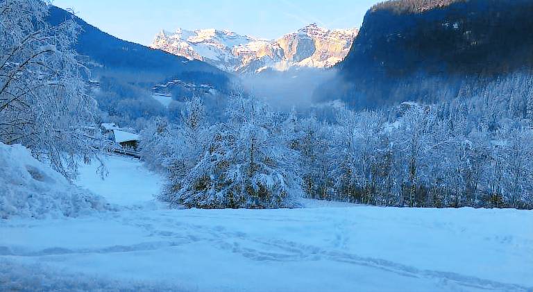 Rental apartment with 2 rooms for 6 persons in Les Houches
