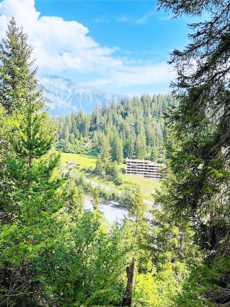 Ferienwohnung Laax