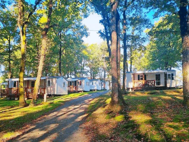 Mobile home with patio & heated pool | Dogs allowed — photo 3