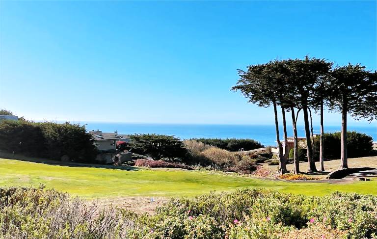 House Bodega Bay
