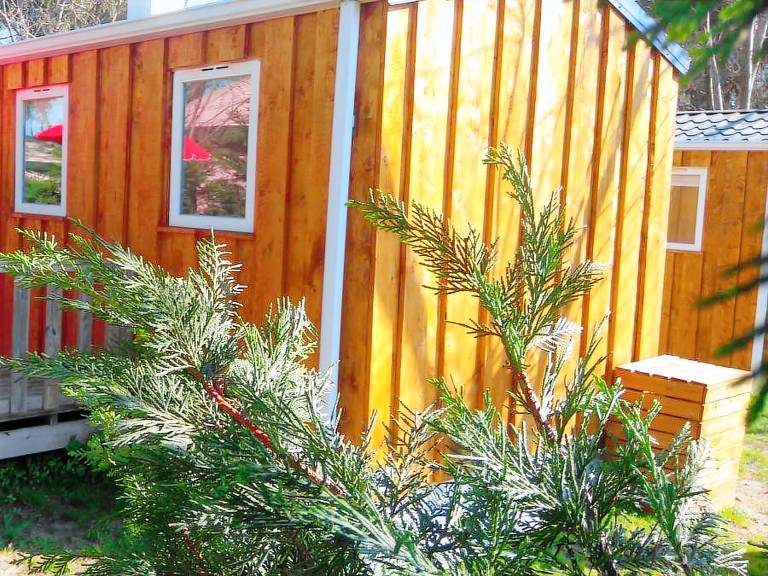 Mobile home with patio & heated pool — photo 5