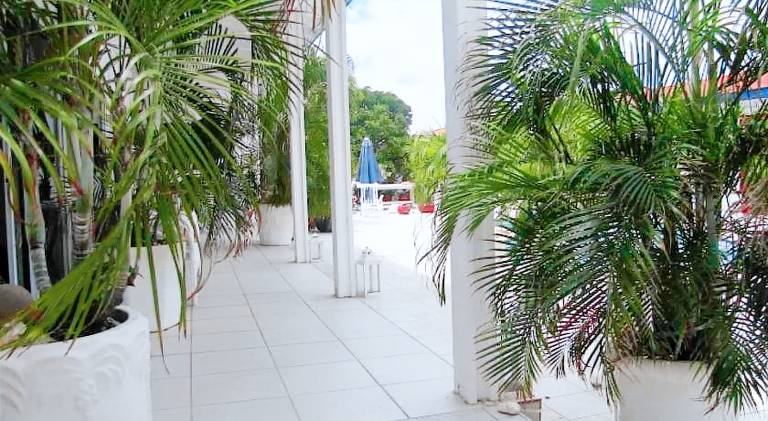 Charming serviced apartment with yard & terrace | Dogs allowed — photo 4