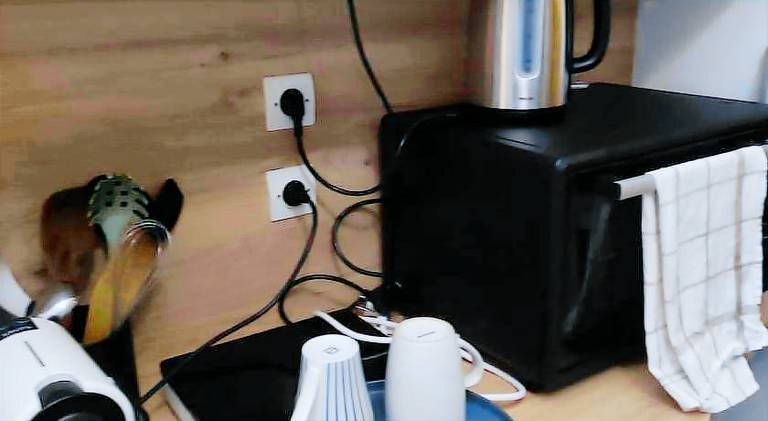 Apartment with 1 room for 2 persons — photo 4