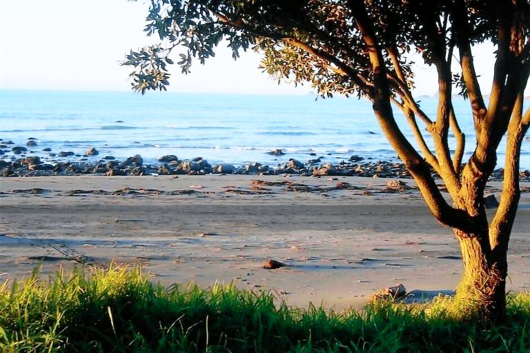 Apartment Tataraimaka