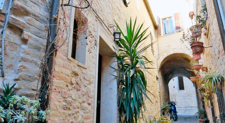 Rental apartment | Pet-friendly — photo 4