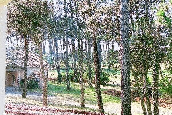 Appartement Plage de Moliets