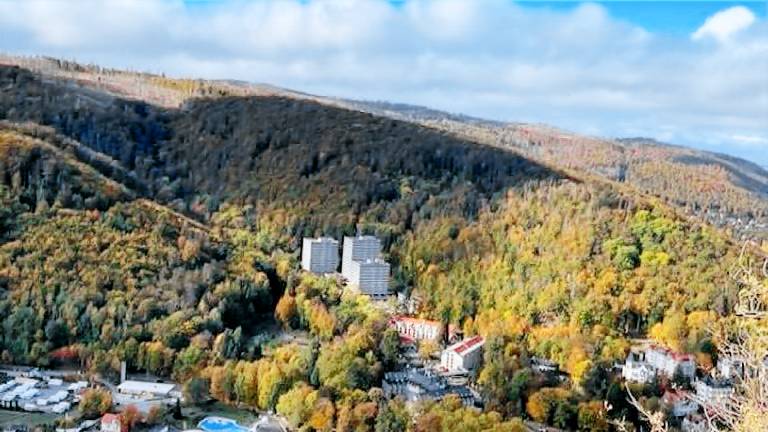 Ferienwohnung Bad Harzburg