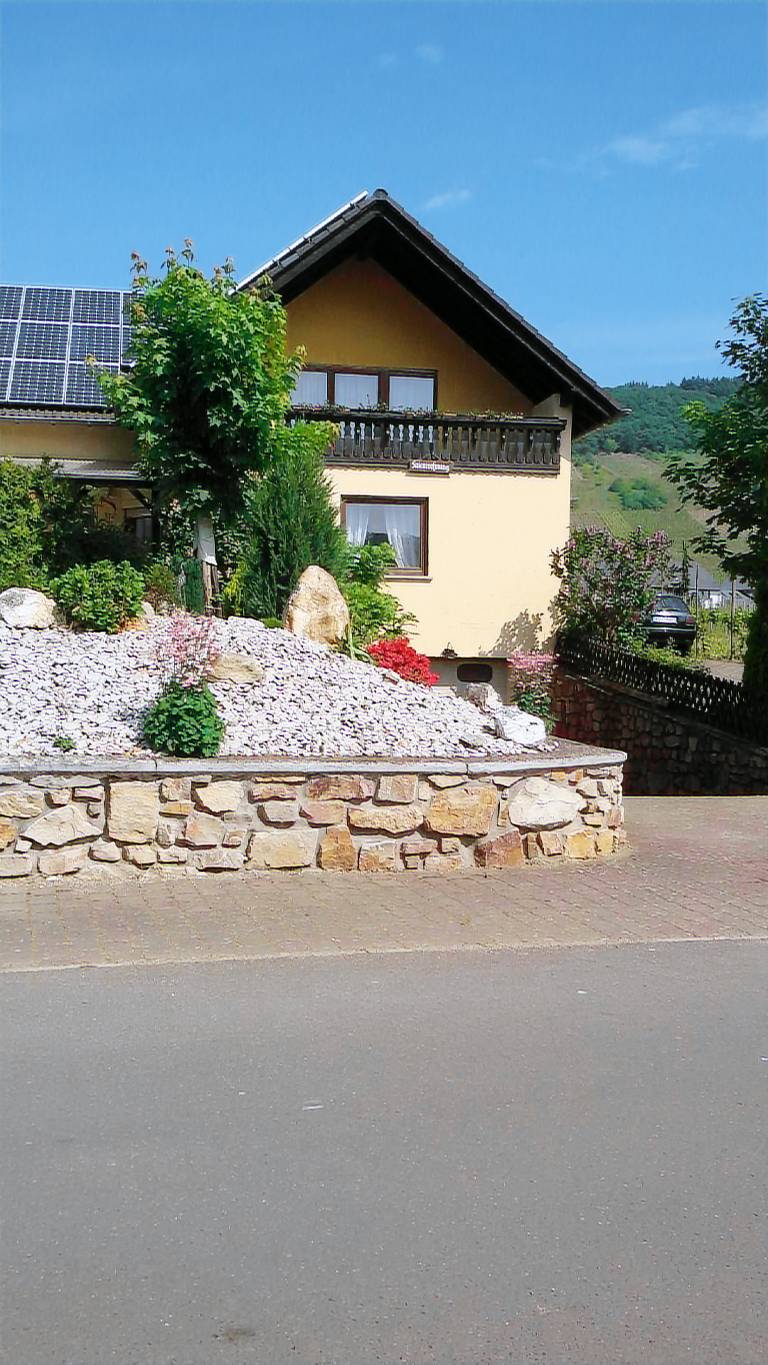 foto4