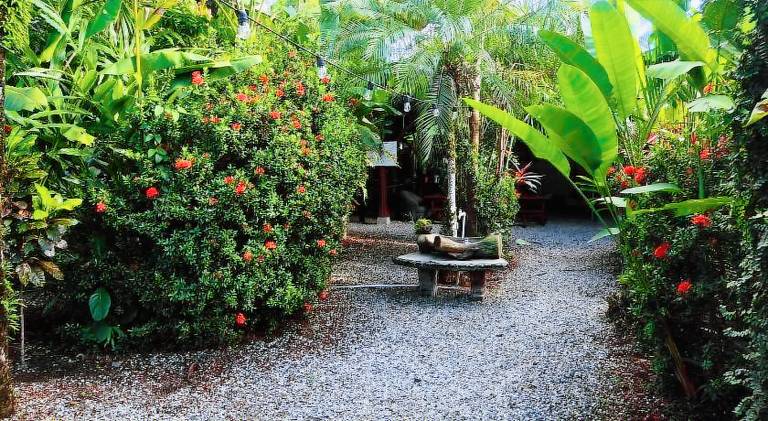 Cabinas Tropicales — photo 5