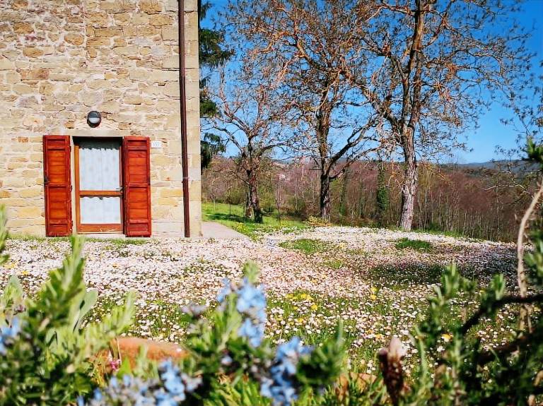 Selvadonica: L'Edera — photo 4