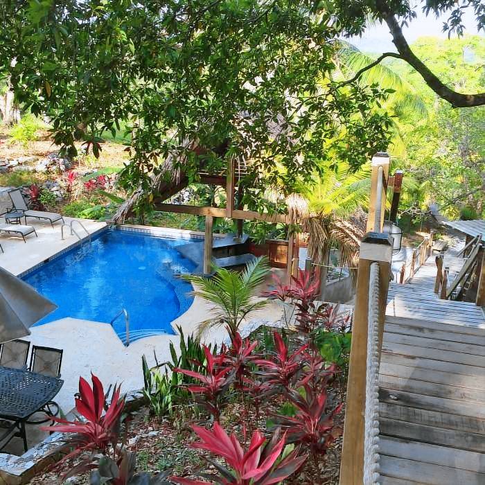 Upachaya — photo 4