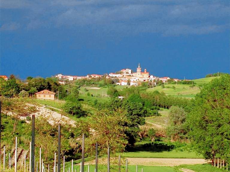 foto4