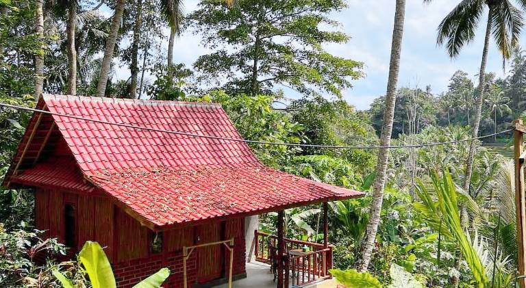 Cabin D Bendul and Warung