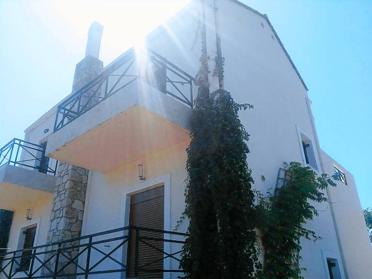 foto1