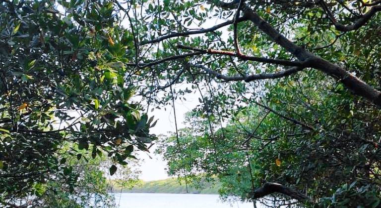Camping do point la na barra — photo 4
