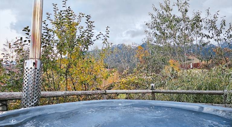 Panoramic Chalet Bran — photo 5