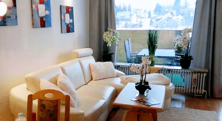 Lovely holiday apartment with pool | Pets allowed in Braunlage