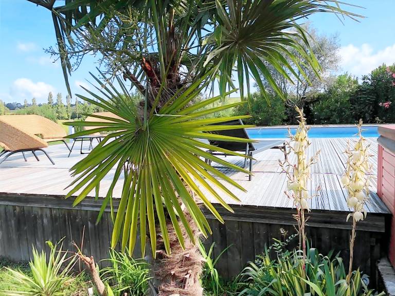 Maison de vacances Caraman