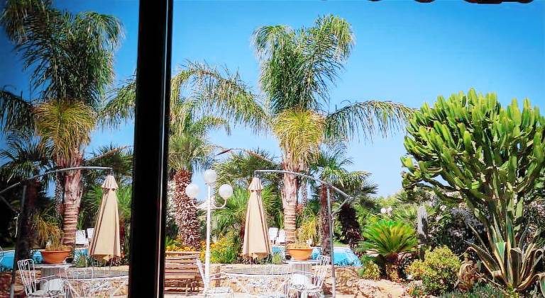 Farm with yard, pool & patio — photo 4