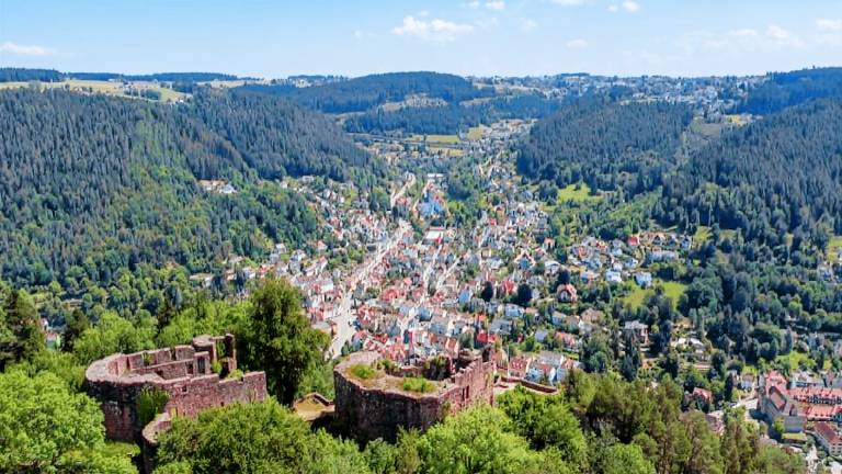 Ferienwohnung Schramberg