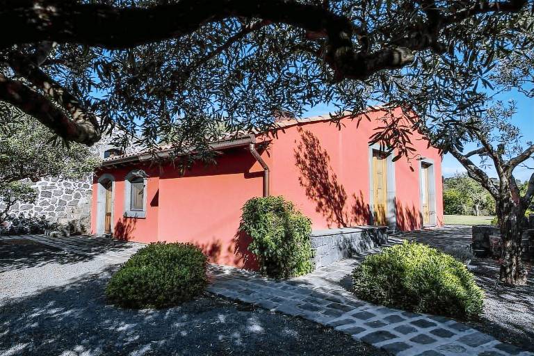Arrigo: Ulivo — photo 5