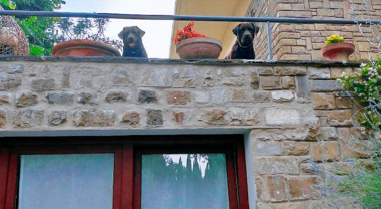 Lovely rental apartment | Dogs allowed — photo 4