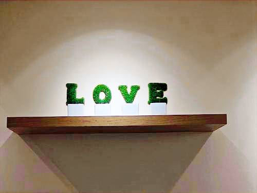 foto9