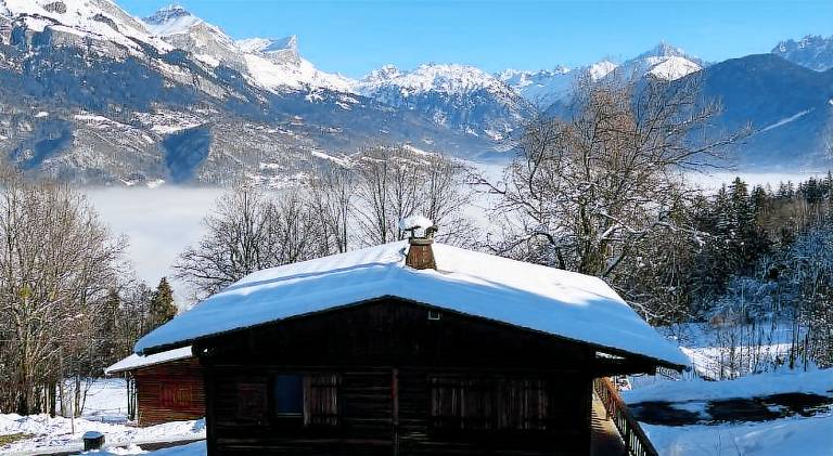 Lovely chalet | Pet-friendly in Combloux