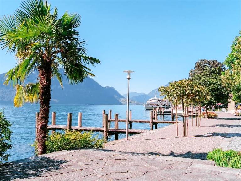foto4