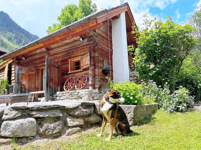 Ferienhaus Innerfragant