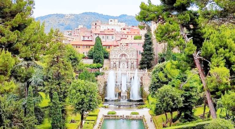 Charming holiday apartment | Dogs allowed — photo 4