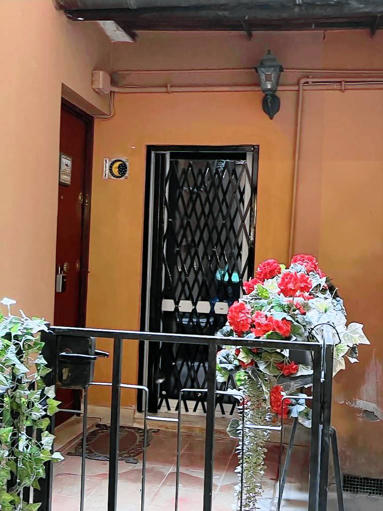 foto1