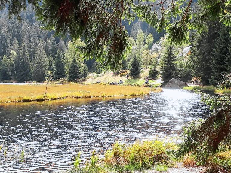 Chalet Arnetsried