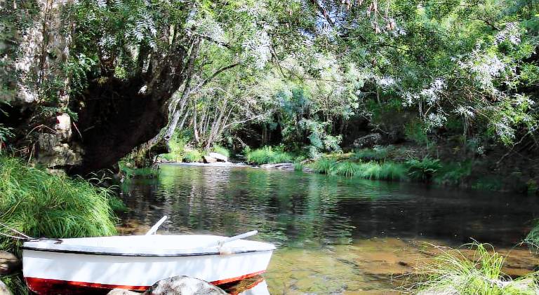 Beautiful farm with barbecue, pool & yard | Dogs allowed in Viseu