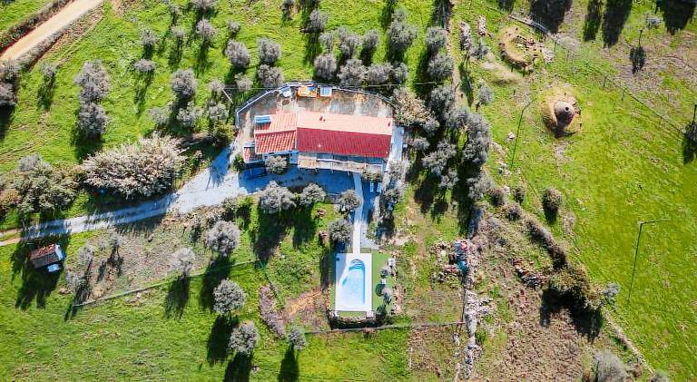Charming house with garden, pool & grill | Pets are welcome in Évora